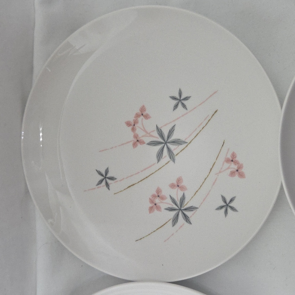 Franciscan 'Happy Talk' Salad Pkates, Set Of 4 - Picture 5 of 7